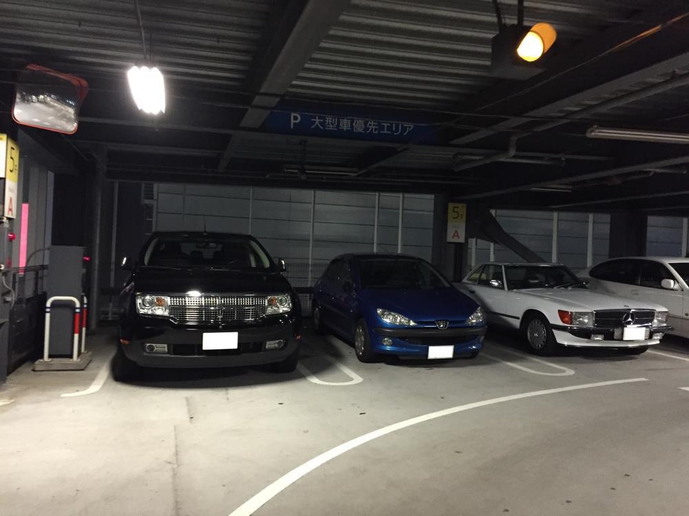 IMG_0546 - コピー.JPG